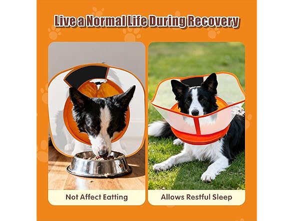 Lifnixer Inflatable Dog Cone, Orange XL