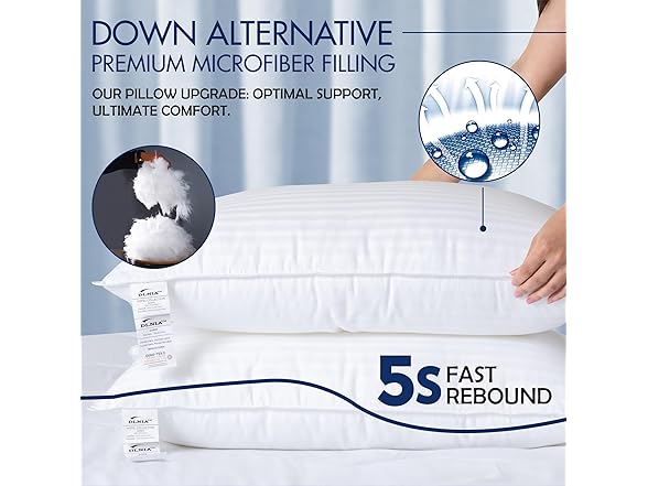 DLNIA Luxury Bed Pillows Queen Size Set of 2