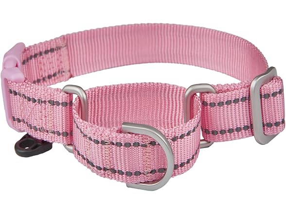 Reflective Martingale Collar for Dogs with Q