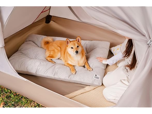 FUNNY FUZZY W2043 2 in 1 Dog Bed Crate Pad Light Grey XL
