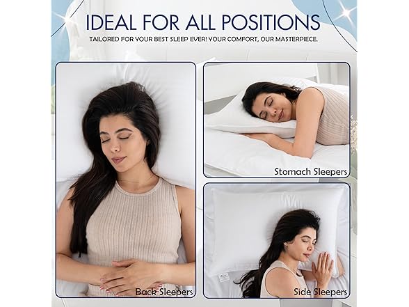 DLNIA Luxury Bed Pillows Queen Size Set of 2