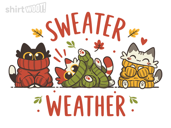 Sweater Weather Kittens