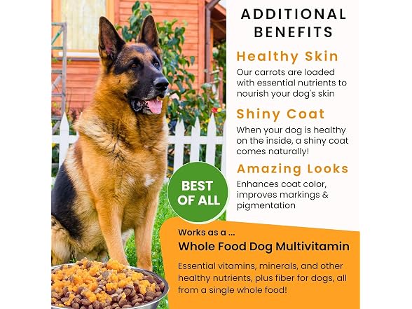 Olewo Original Carrots for Dogs Fiber
