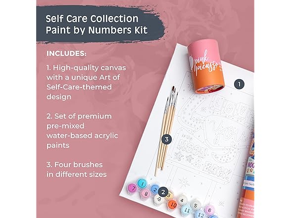 Pink Picasso Paint by Numbers Kits