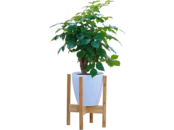Bamboo Plant Stand Adjustable 8-11"