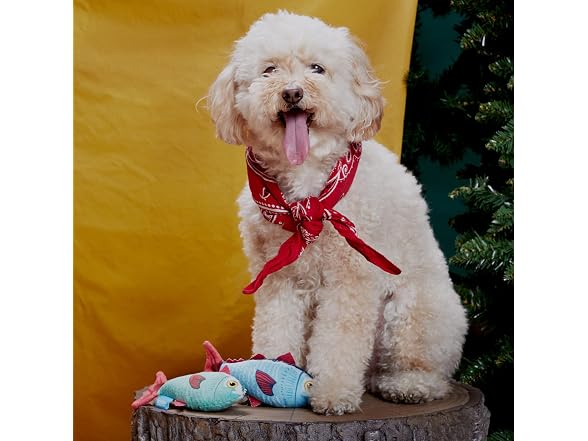 Barkbox Mike & Mike the Trout Twins Dog Toy | 2-Part