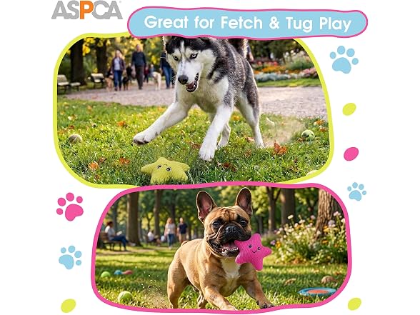 ASPCA 2 Pack Plush Dog Toy with Squeaker- Starfish