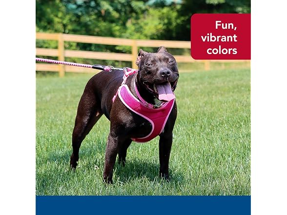 Coastal Pet Comfort Soft Wrap Adjustable Dog