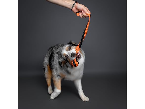 NOAH & PAW Luxury Dog Toy, Dog Rope Toy- Sling, Black