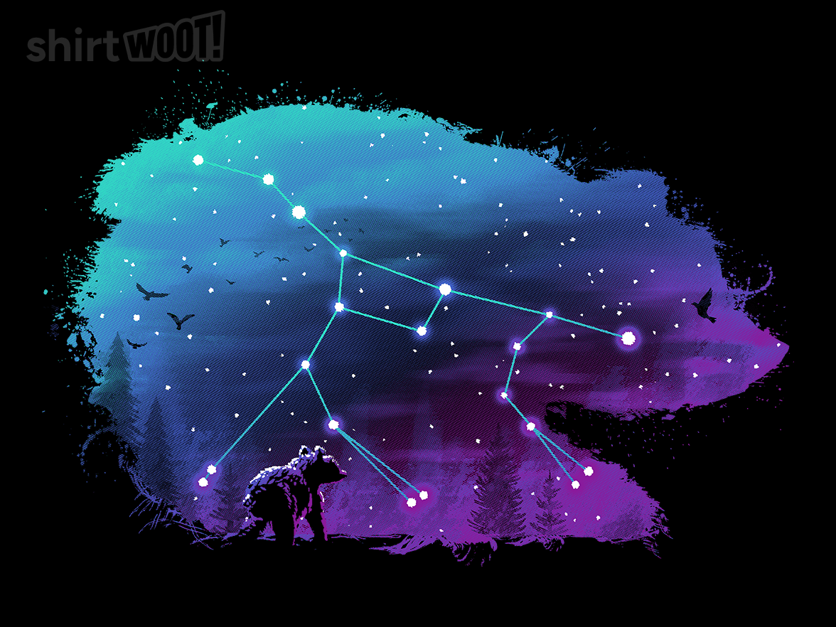 Cosmic Bear - Gallery 4