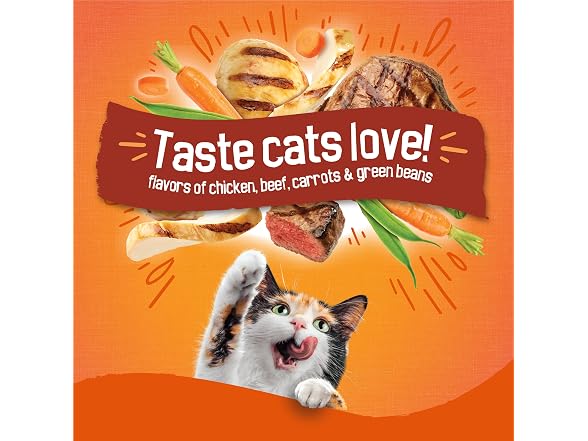 Tender Crunchy Dry Cat Food 16lb
