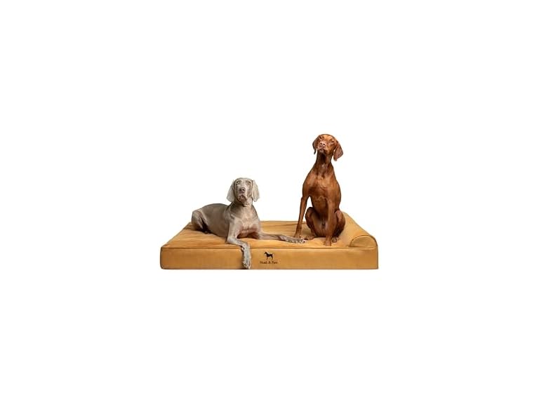 NOAH & PAW CL-LE-CA-XXL XXL NOAH & PAW Dog Bed - Class