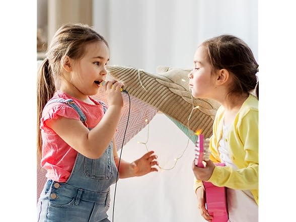 DELADOLA Mini Microphone - Portable 