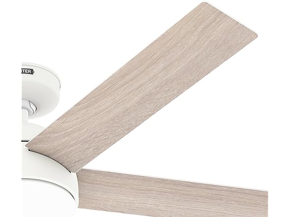 Hunter Fan 52 Inch White Indoor/Outdoor Ceiling fan - Gallery 9