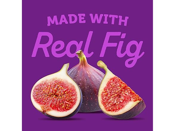 Newtons Soft & Fruit Chewy Fig Cookies, 