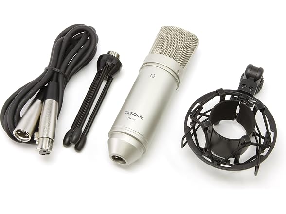  Tascam TM-80 Large Diaphagm Condenser