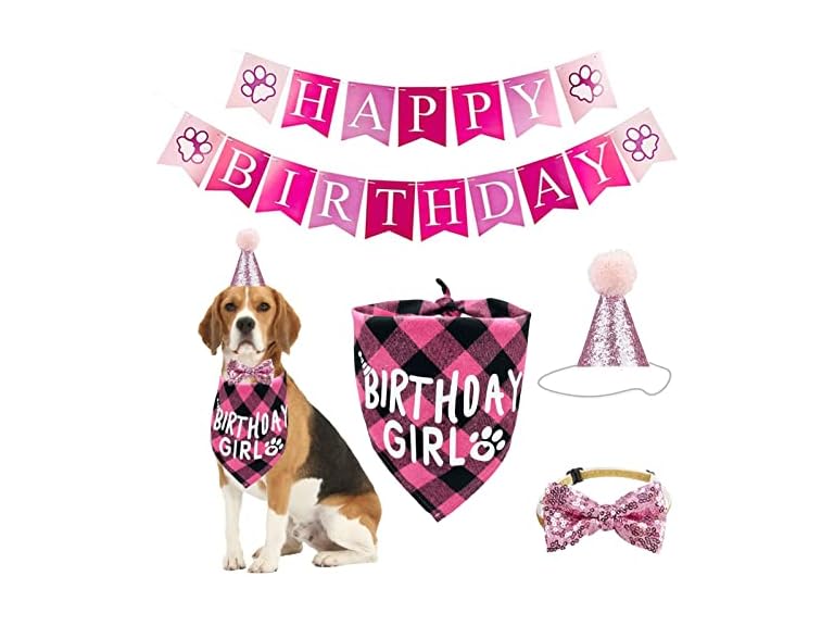 Dog Birthday Bandana Hat Scarf Set
