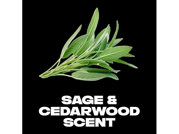 AXE 2.7 Oz. Antiperspirant Deodorant Stick- 6PK