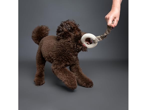 NOAH & PAW Luxury Dog Toy, TPU- Tug Ring, Beige