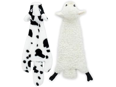 $3.99 Best Pet Supplies Squeaky Dog Toys 2Pack dealfomo