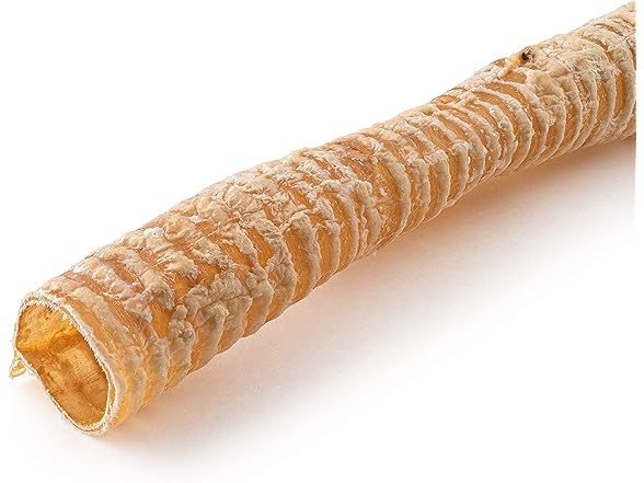 Jack&Pup 12" Beef Trachea for Dogs