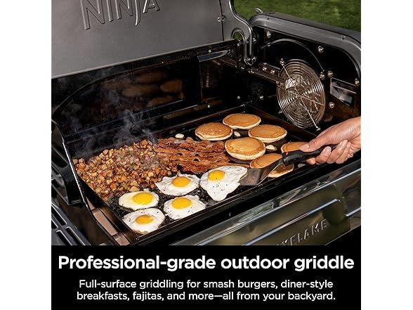 Ninja FlexFlame Pro Griddle Plate