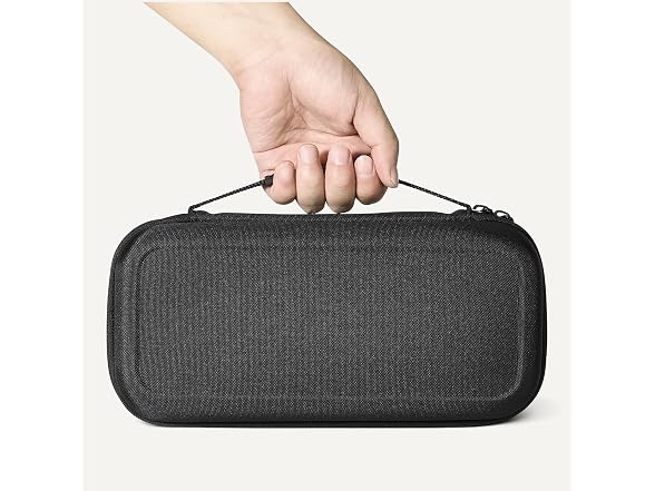 Amazon Basics Universal Nintendo Switch Case