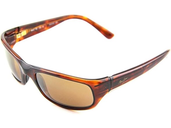 Tortoise/HCL Bronze Polarized