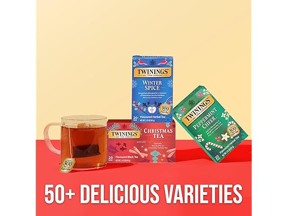 20CT Twinings Winter Spice Herbal Tea
