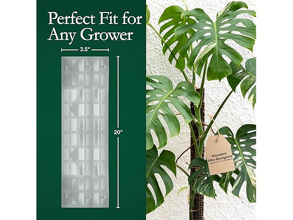 V2 Large GrowPole, 5 Pcs