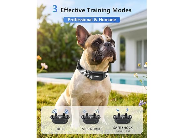 PATPET Shock Collar