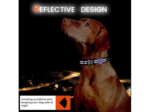 ILFINDYOU Dog Collar with Airtag Holder