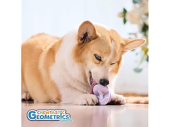 PetDreamHouse Geometrics Fun Soft Chew Toy- Lavender