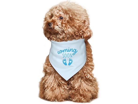 vercosee Coming Soon….Bandana Pregnancy Announcement