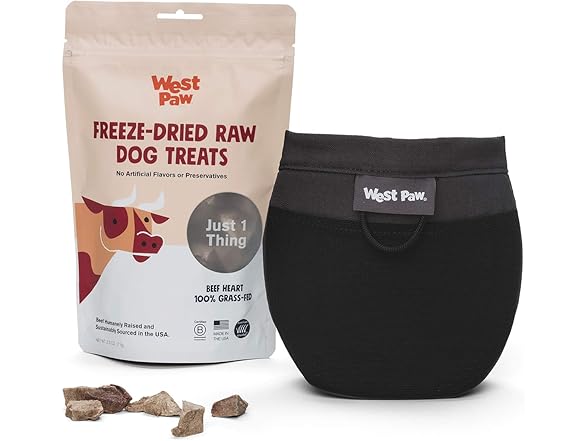 West Paw Design Outings Dog Treat Pouch