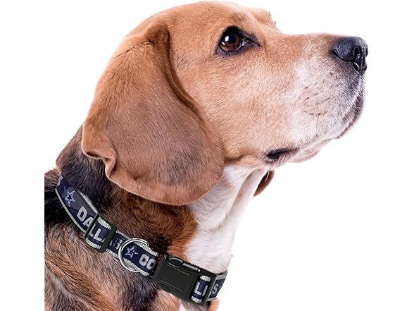Pets First Dallas Cowboys Pet Collar - L