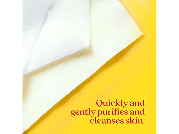 Burt’s Bees Purifying White Tea Facial Towelettes