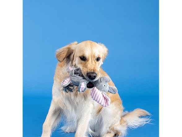 Fringe Studio Plush Dog Toy with Rope, Squeaky Rope