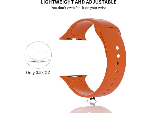 SEETEN Compatible with Apple Watch