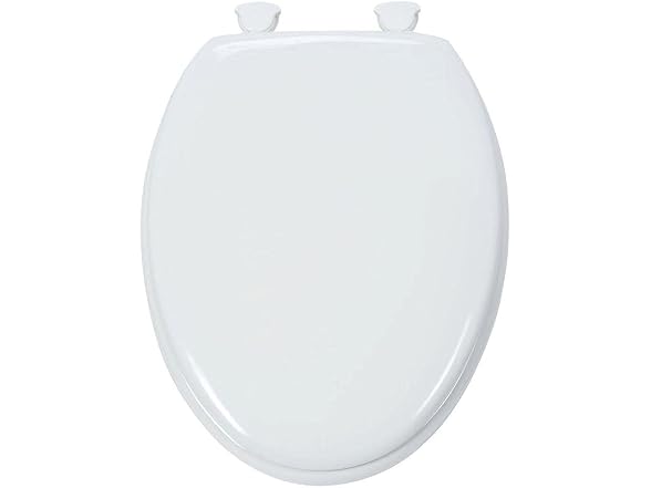 Glacier Bay Elongated Enameled Wood Closed Front Toilet Sea