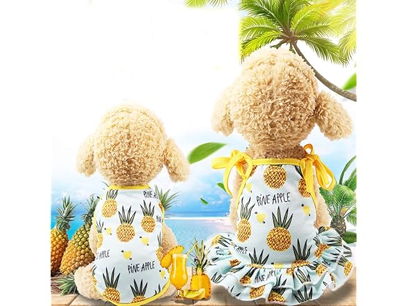 Pet Clothes,Lovely Summer Fruit Dog T-Shirt P
