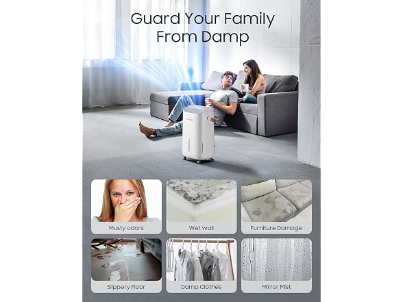 ASAHWo Dehumidifier