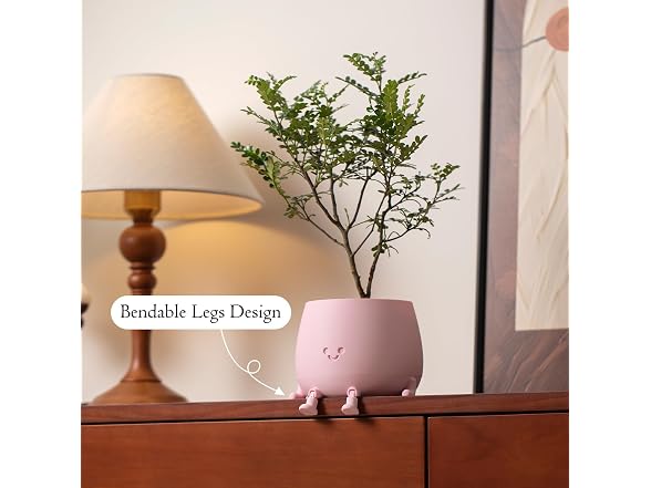 TOPOLA Happy Face Planter