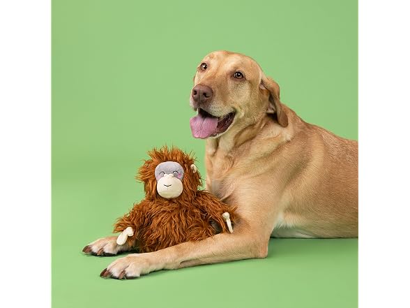 Fringe Studio Oranga-Hug Plush Dog Toy, Orangutan