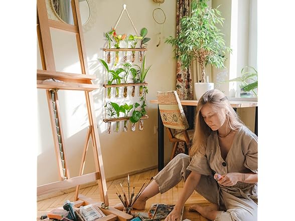Yqlinnn Wall Hanging Plant Propagation