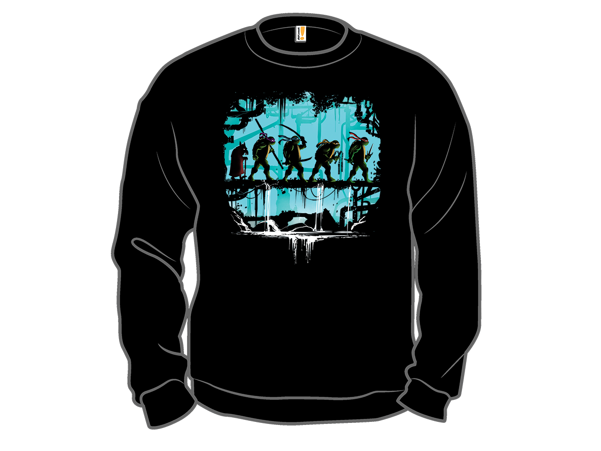 The Fellowship of the Turtles - Gallery 11
