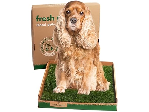 Fresh Patch Real Grass Patch for Dogs, Cats,
