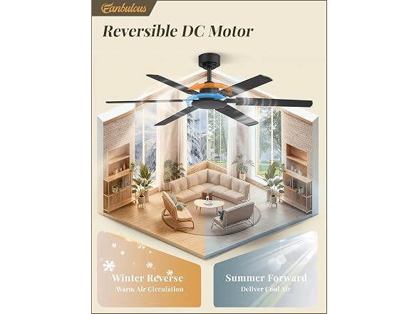 Fanbulous Black 48” Ceiling Fan with Lights