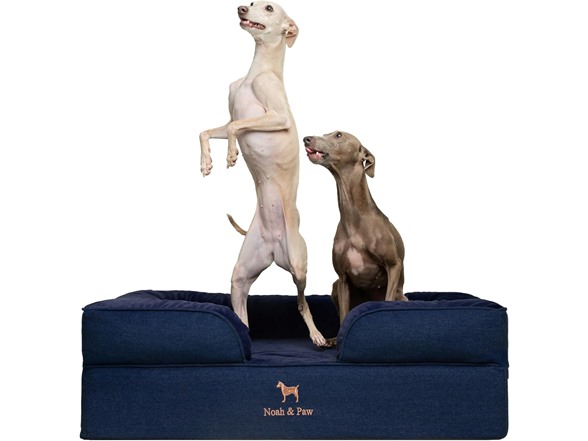 NOAH & PAW Dog/Cat Sofa- XLarge