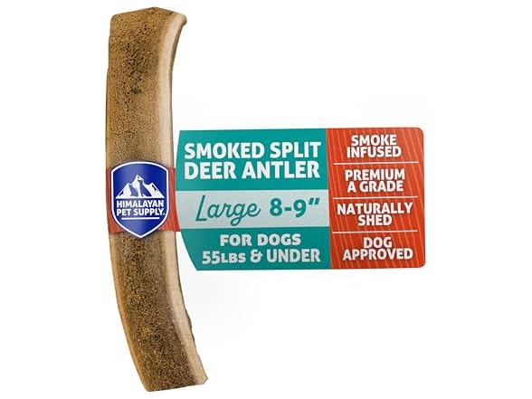 Large - 1 Pack